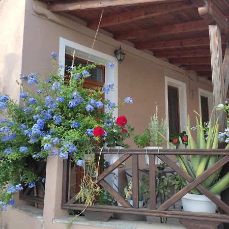 Plumbago Apartment Theologos (Thasos) Exterior foto