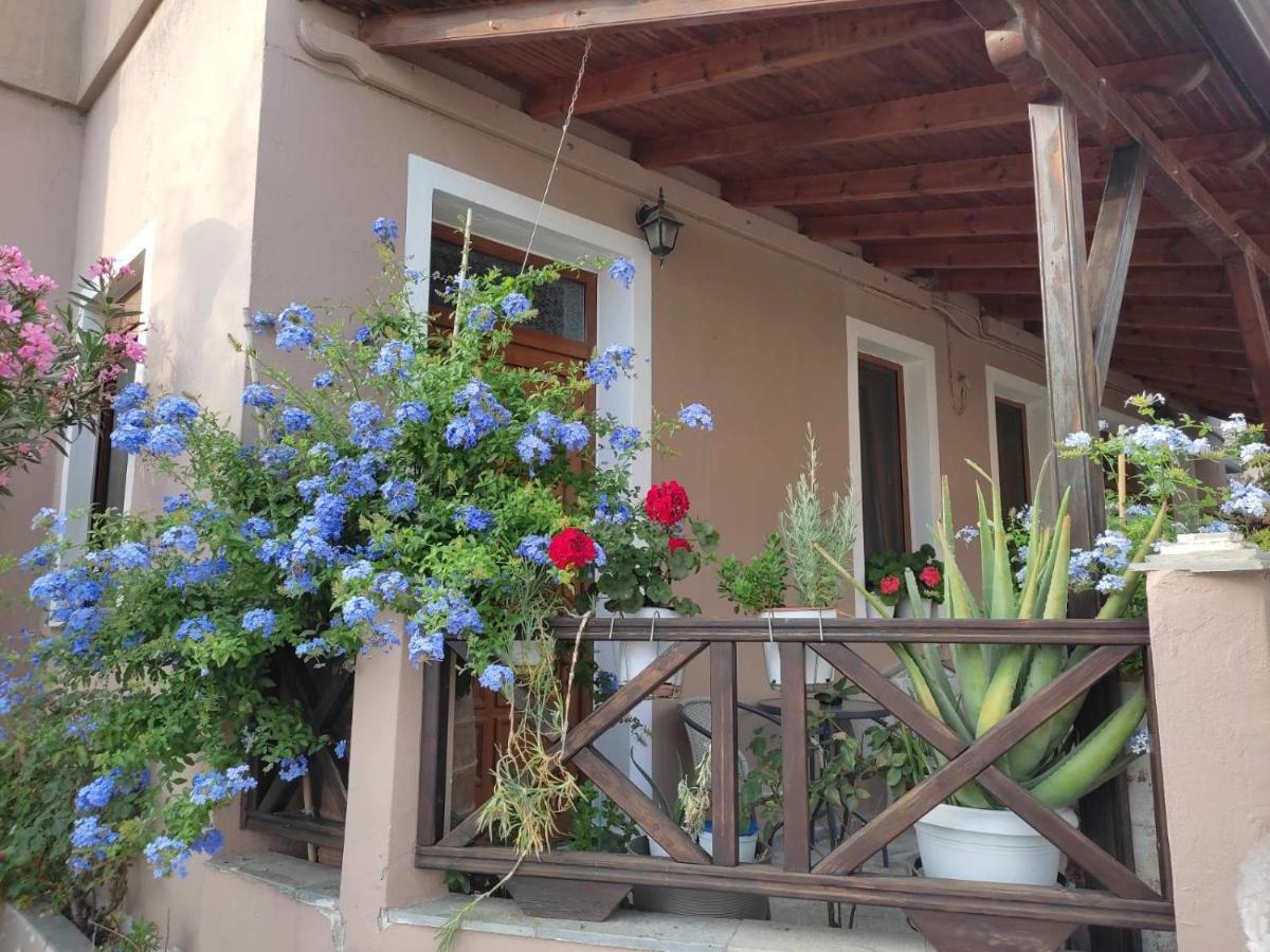 Plumbago Apartment Theologos (Thasos) Exterior foto